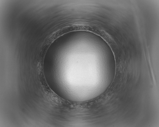 X0000073510821200608140932