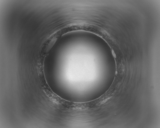 X0000073510822200608140932