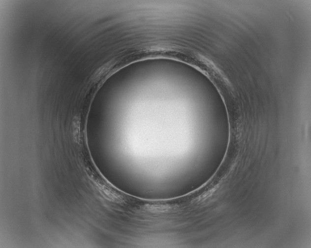 X0000073510825200608140932