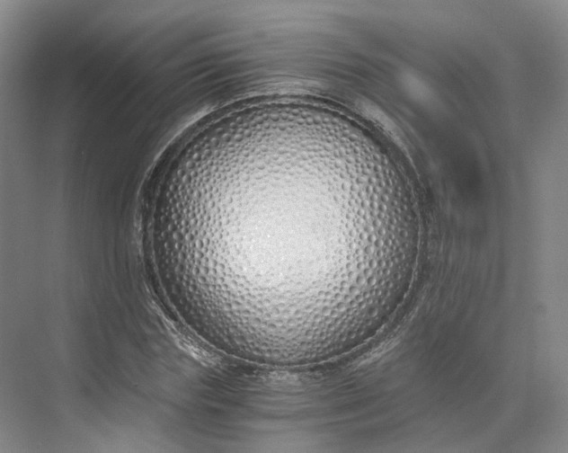 X0000073510827200608140932