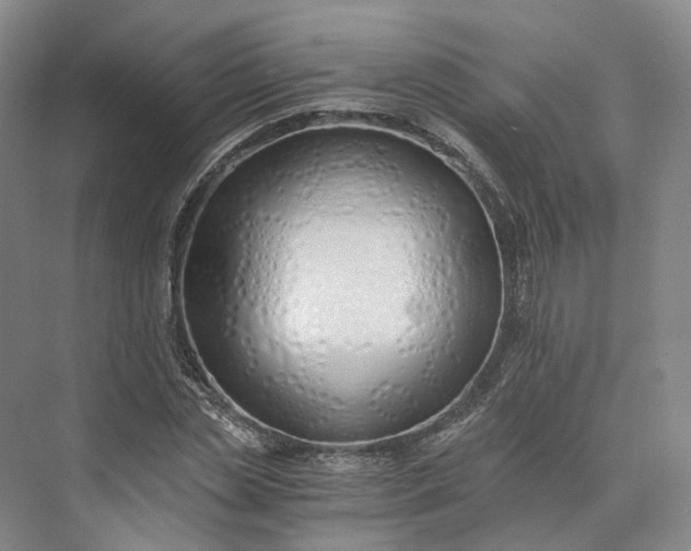 X0000073510829200608140932