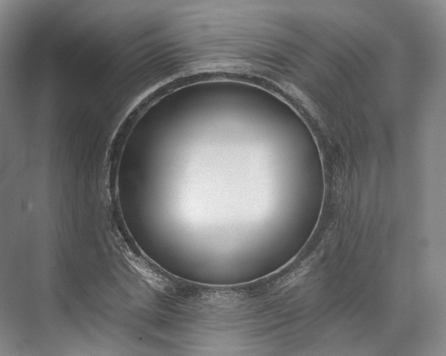X0000073510830200608140932