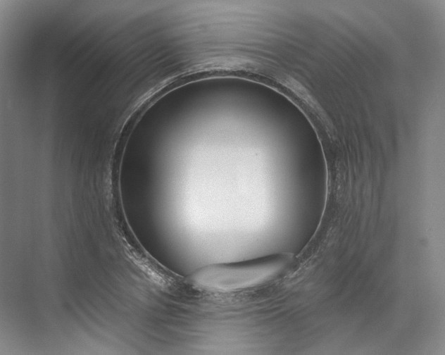 X0000073510834200608140932