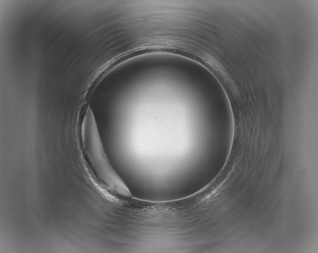 X0000073510842200608140932