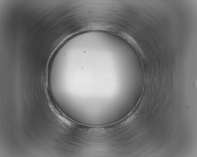 X0000073510844200608140932