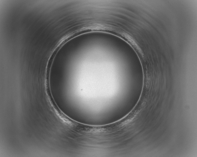 X0000073510845200608140932