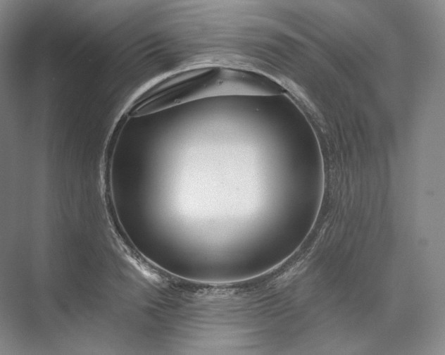 X0000073510846200608140932