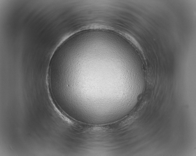 X0000073510847200608140932