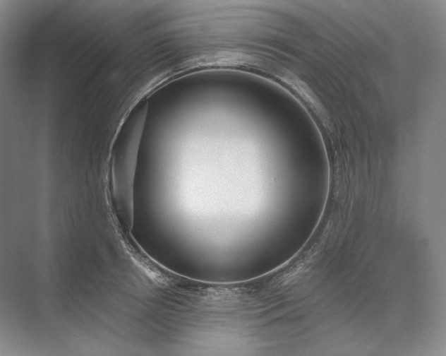X0000073510850200608140932