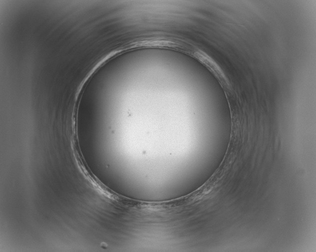 X0000073510852200608140932