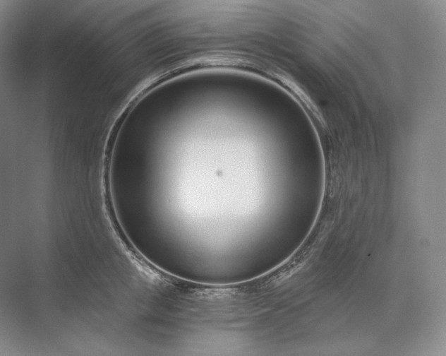 X0000073510853200608140932