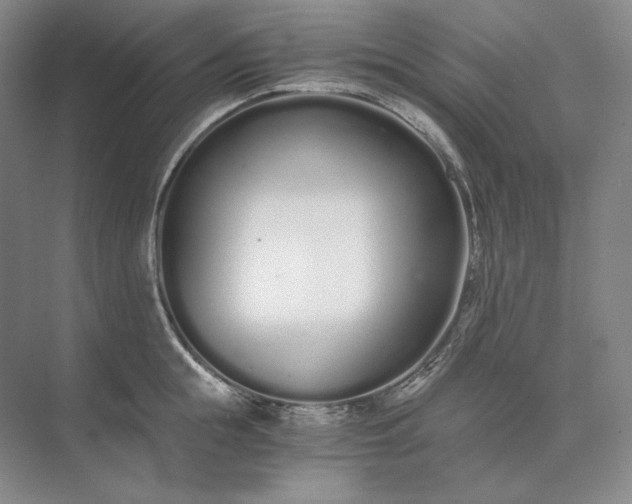 X0000073510855200608140932