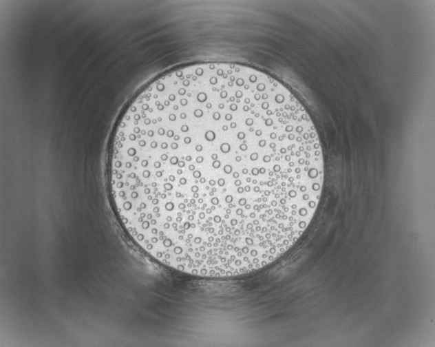 X0000073510856200608140932