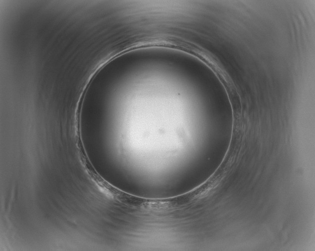 X0000073510858200608140932