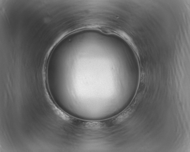 X0000073510859200608140932