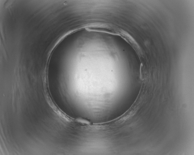 X0000073510860200608140932