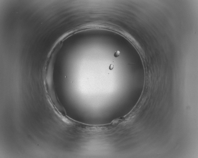 X0000073510862200608140932
