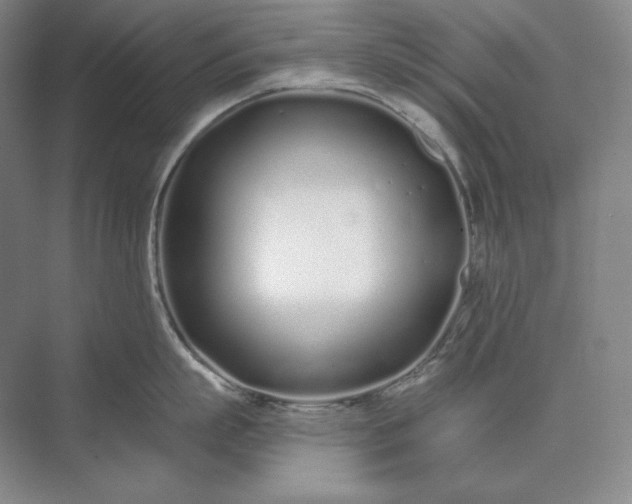 X0000073510863200608140932