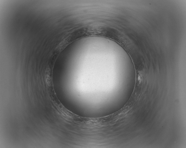 X0000073510867200608140931