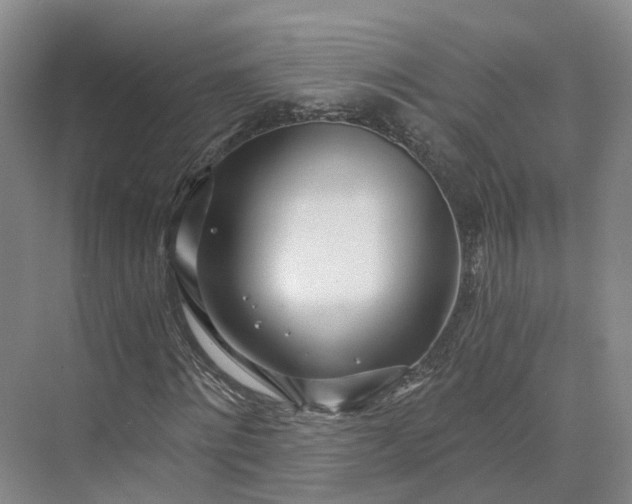 X0000073510868200608140931