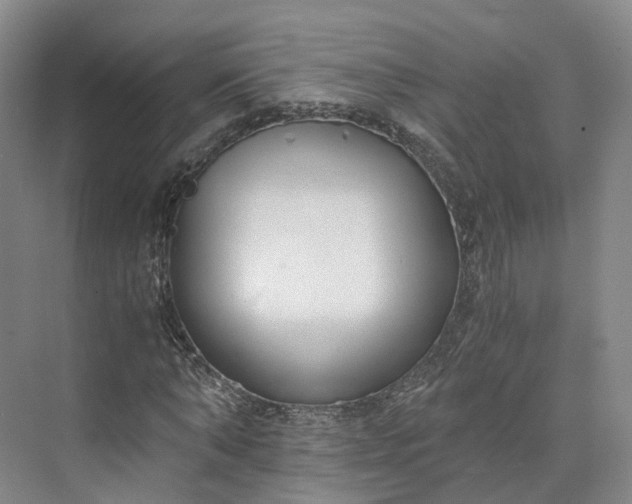 X0000073510870200608140931