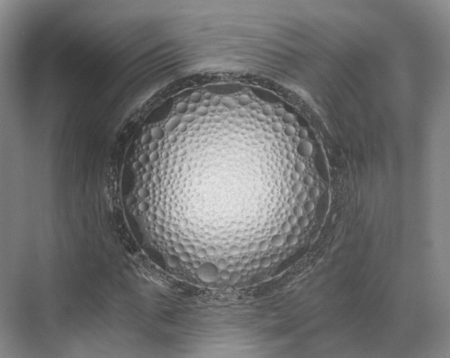 X0000073510871200608140931