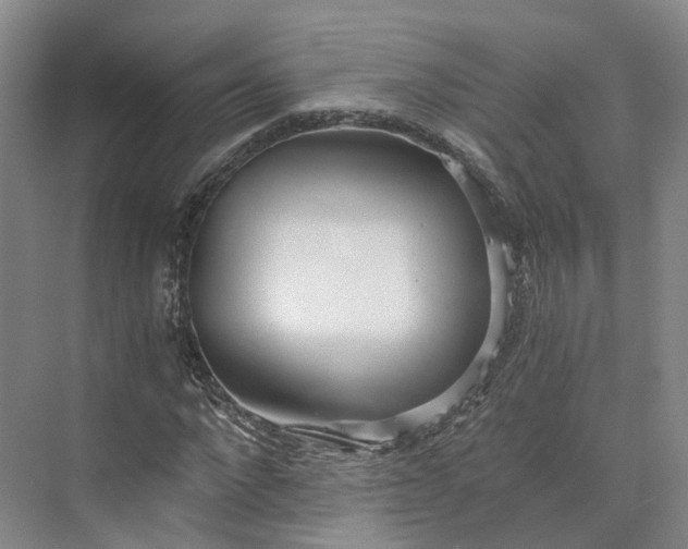 X0000073510872200608140931