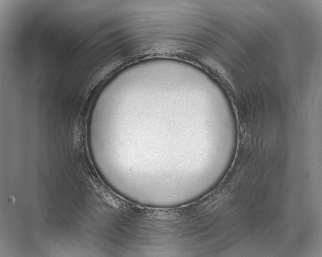 X0000073510874200608140931
