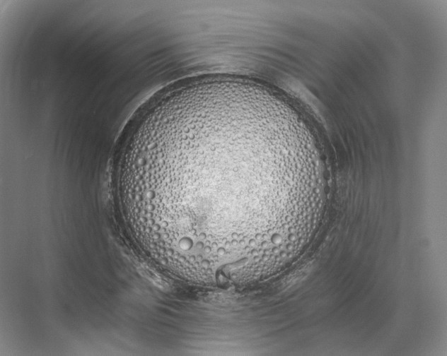 X0000073510875200608140931