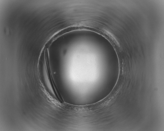 X0000073510876200608140931