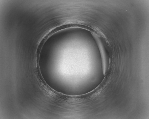 X0000073510877200608140931