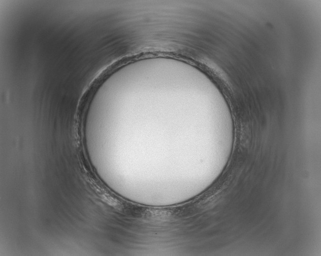 X0000073510878200608140931