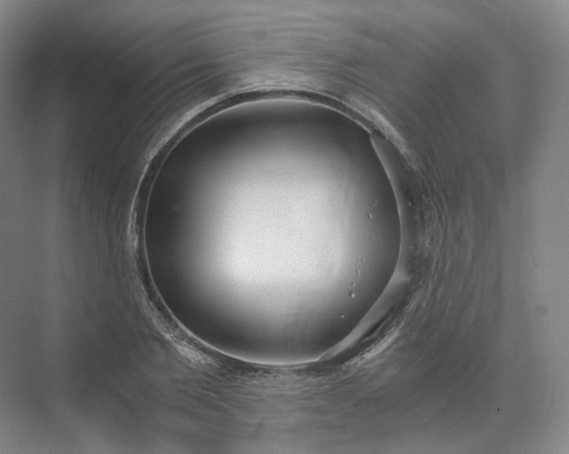 X0000073510885200608140931