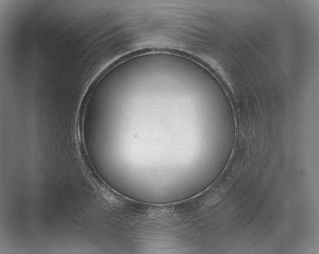 X0000073510887200608140931