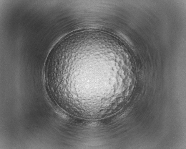 X0000073510891200608140931