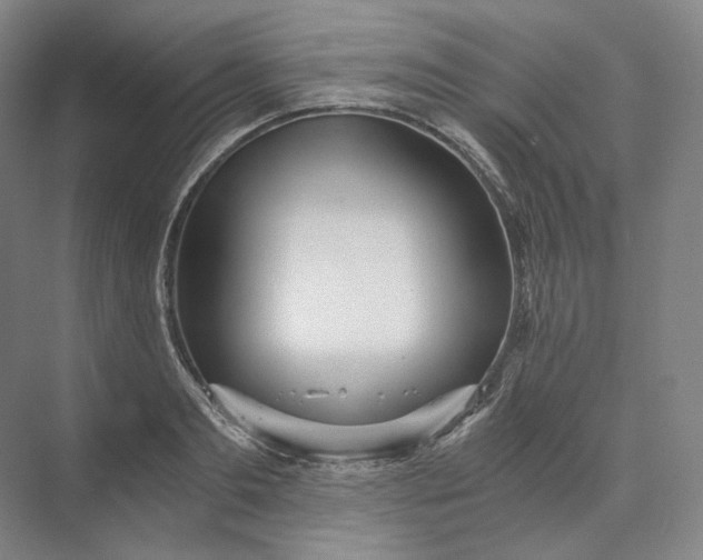 X0000073510893200608140931