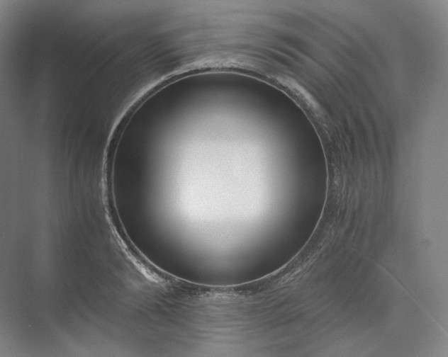 X0000073510894200608140931