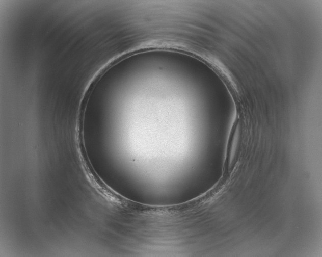 X0000073510896200608140931
