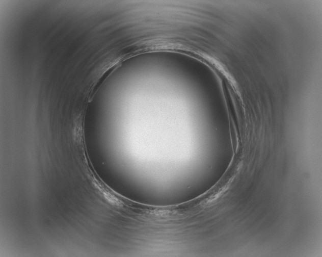 X0000073510897200608140931