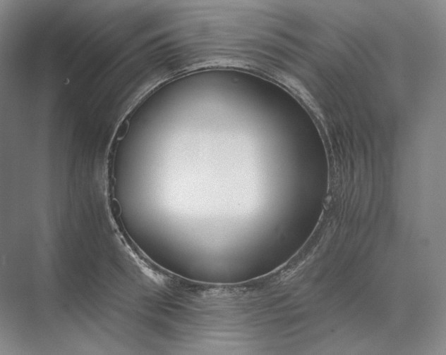 X0000073510898200608140931