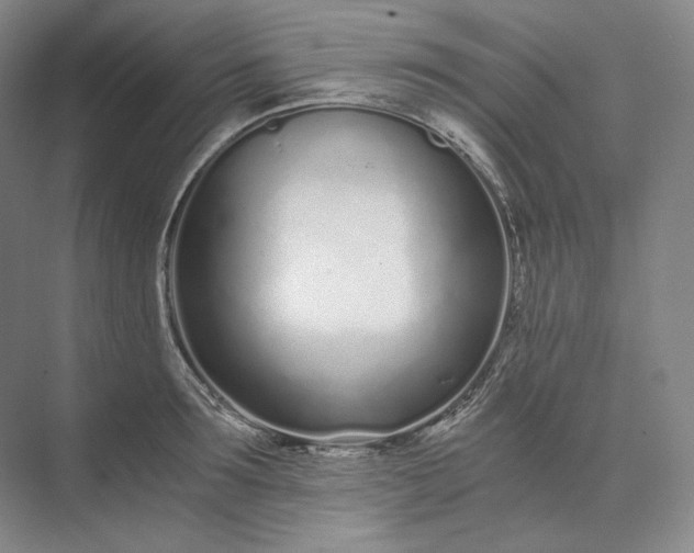 X0000073510899200608140931