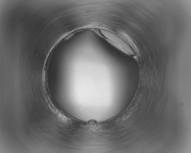 X0000073510900200608140931