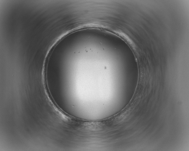 X0000073510902200608140931