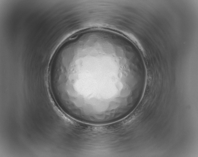 X0000073510903200608140931