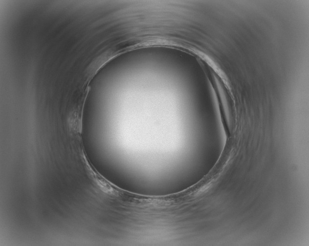 X0000073510905200608140931