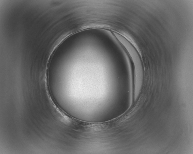 X0000073510906200608140931