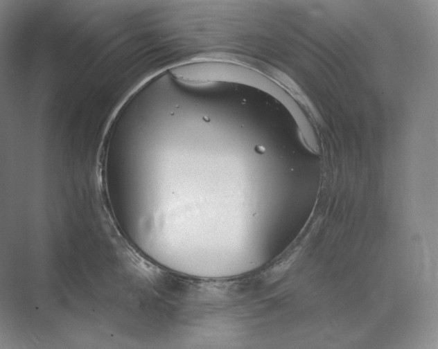 X0000073510908200608140931