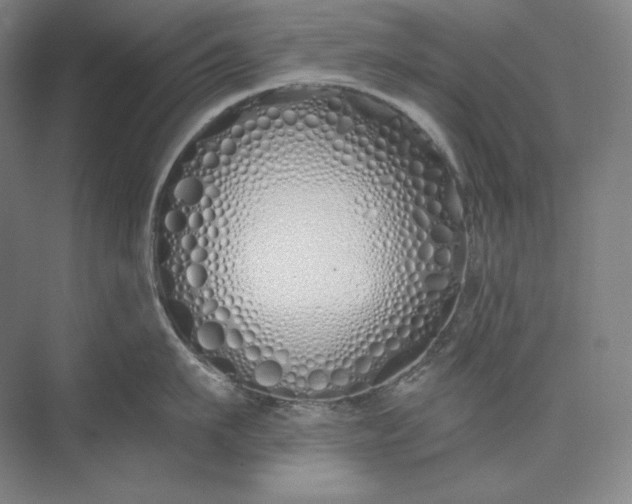 X0000073510911200608140931