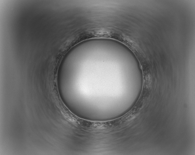 X0000073510913200608140930