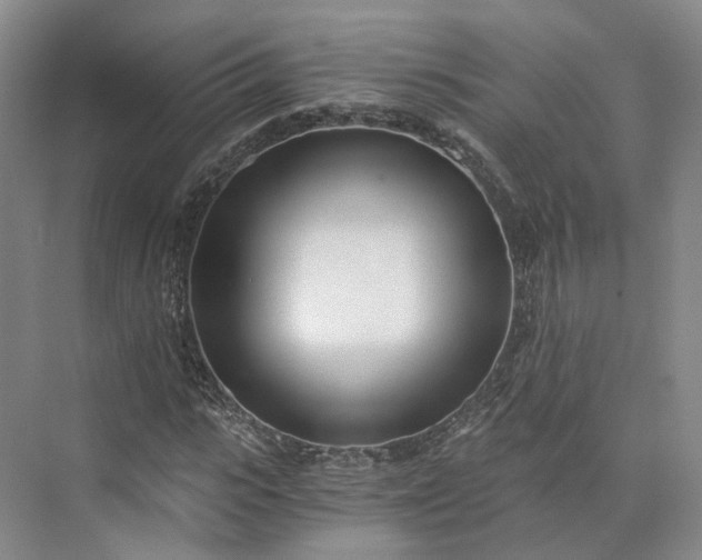 X0000073510919200608140930